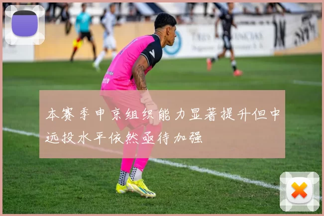 本赛季申京组织能力显著提升但中远投水平依然亟待加强